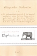 Elephantina